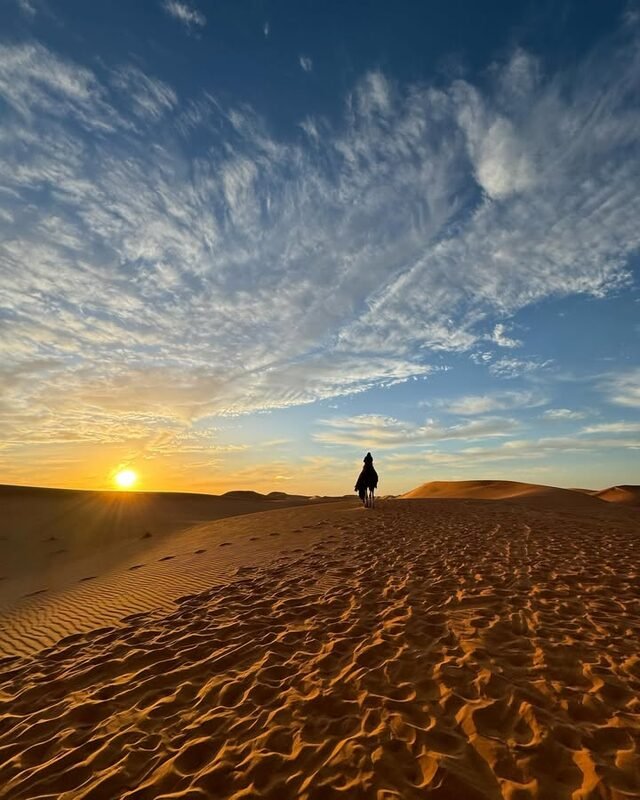 Lone camel rider silhouetted against a desert sunset